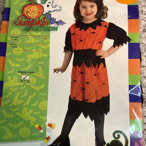 Halloween Costume- Toddler Girls Size 2-4 Web Witch - Picture 1 of 9